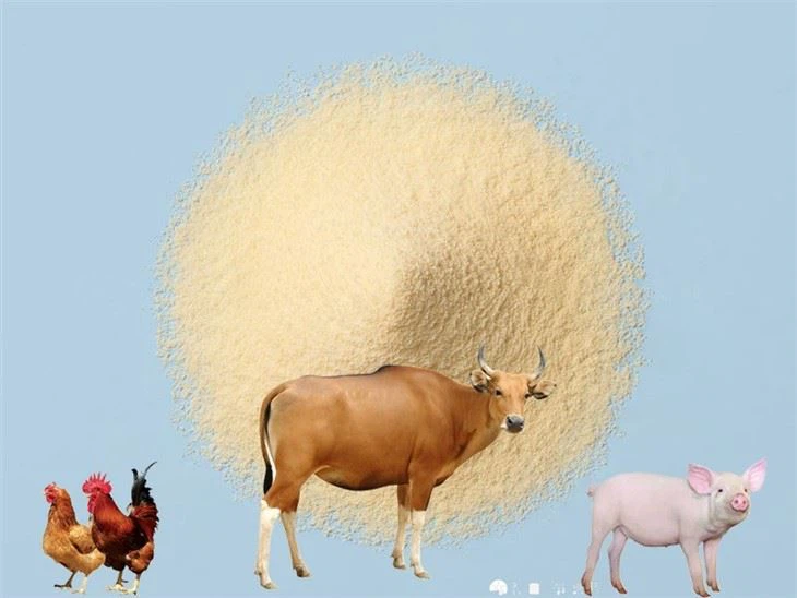 אבקת מי גבינה מתוקה